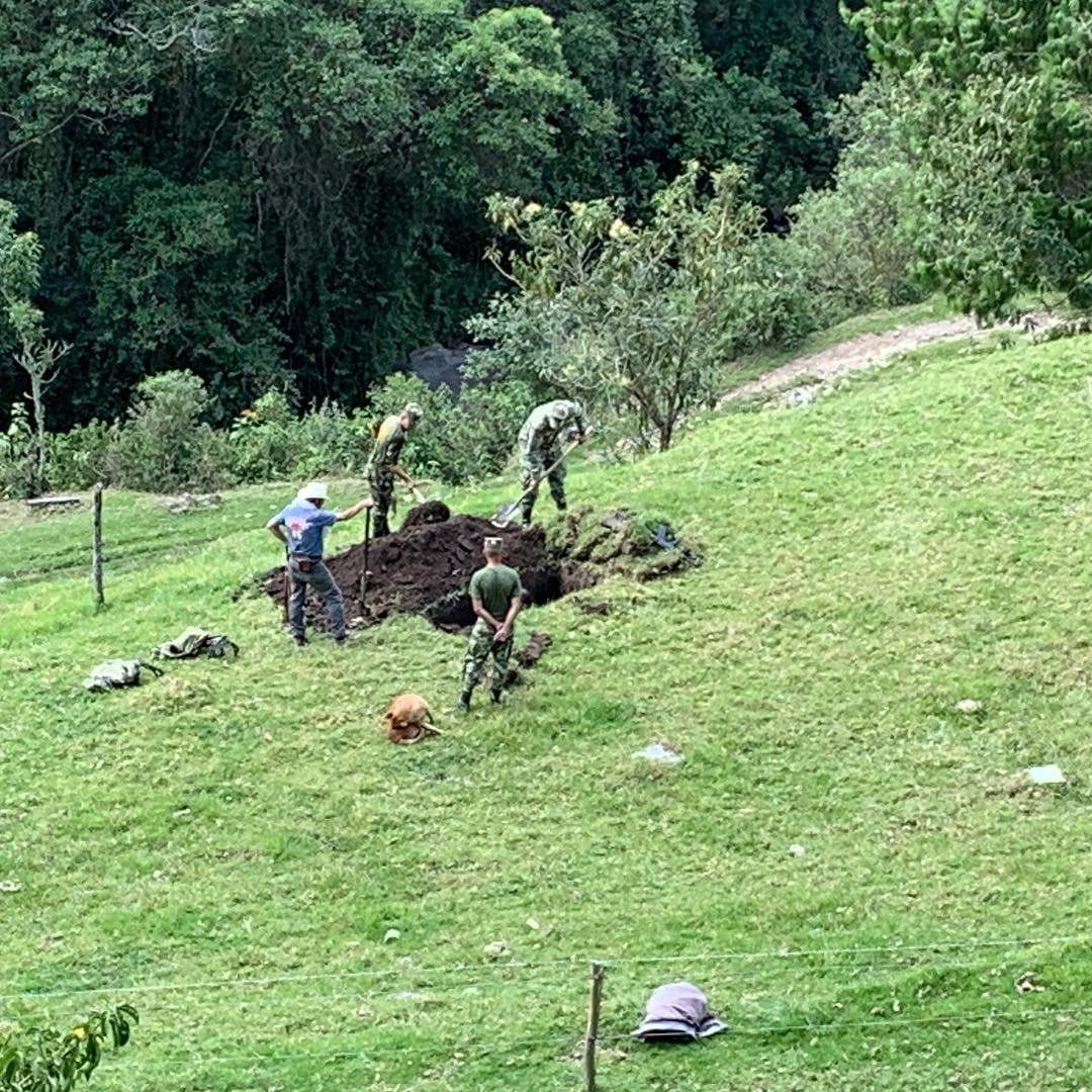 Soldiers and a farmer digging on a green hillside, a dog asleep in the grass