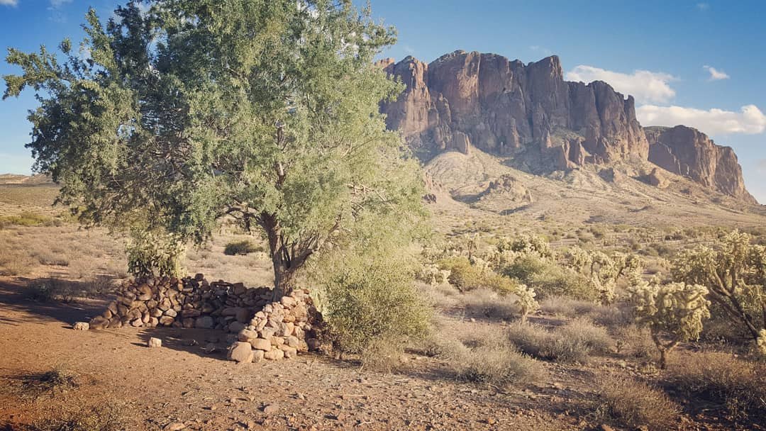 The Superstition Mountains above the Sonoran Desert east of Phoenix, a stone wall under a palo verde tree